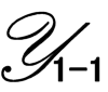 Y1-1
