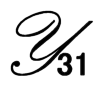 Y31