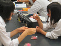 �⍪�����̏o���u�`�E���������o�_�����w�Z