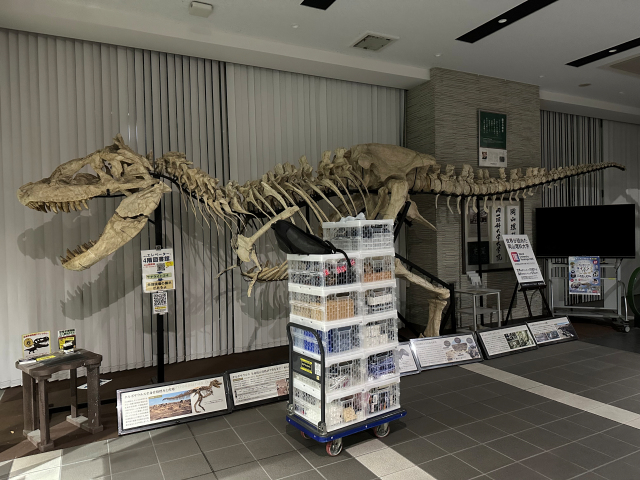 �t�@���f�[���{�E�⍪����