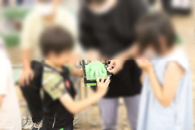 ���R�������E�⍪����